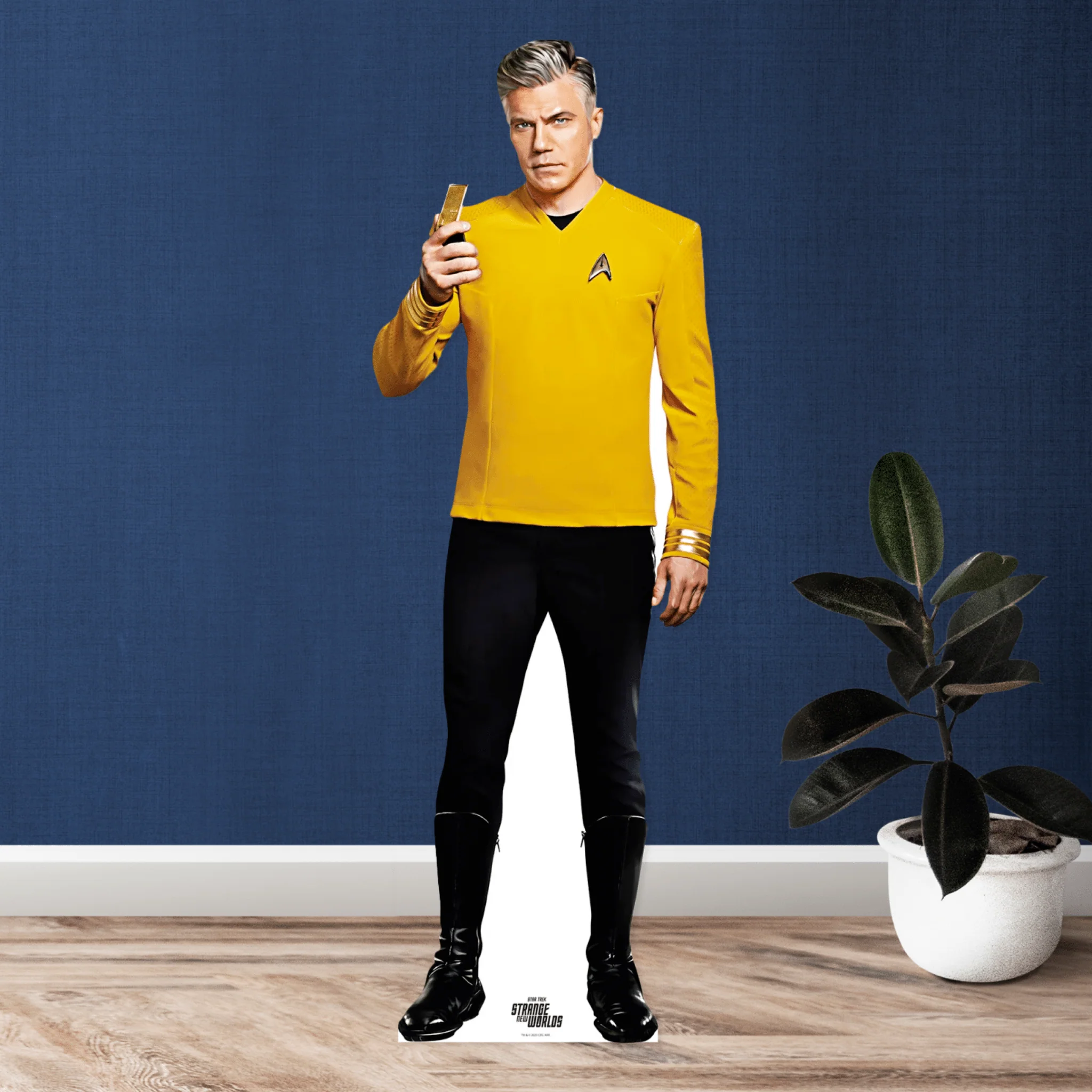 Thumbnail 3